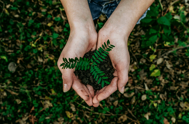 Environmental protection and safety